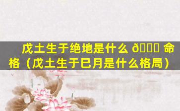 戊土生于绝地是什么 🐛 命格（戊土生于巳月是什么格局）